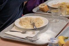 11042019-IMG_4591