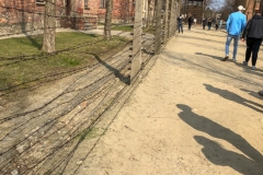03042019-image5