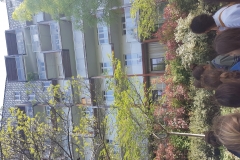 20190418_104207