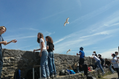 IMG_20240603_123358