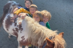 5ce5e3ef-ca12-41de-a3f5-244be08a9c2d