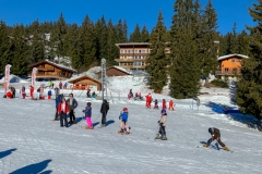24022019-IMG_0615