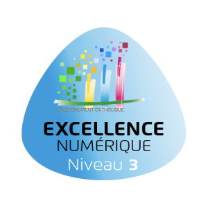 Badge niveau 3