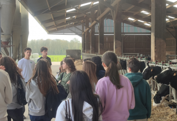 IMG_20260324_161211 IMG_20260324_161211