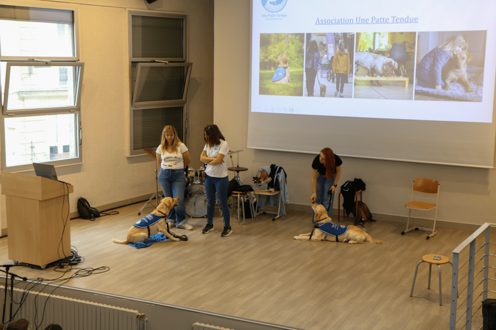 Conférence de l’association Une Patte Tendue auprès des élèves de 6e.