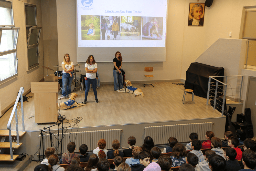 Conférence de l’association Une Patte Tendue auprès des élèves de 6e.
