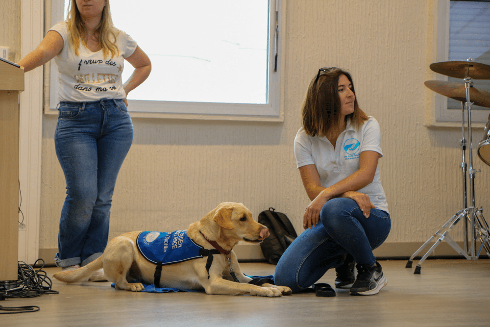 Conférence de l’association Une Patte Tendue auprès des élèves de 6e.